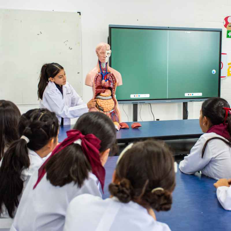Liderazgo femenino